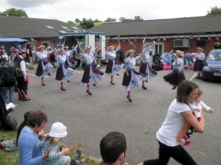 [Error! Image P6040189.JPG is not available.]