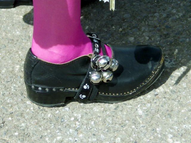 [Error! Image IMGP2983.JPG is not available.]