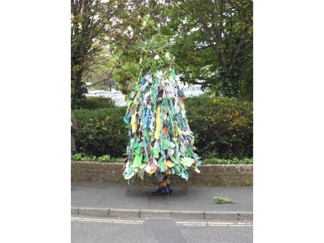 [Error! Image IMGP3965.JPG is not available.]