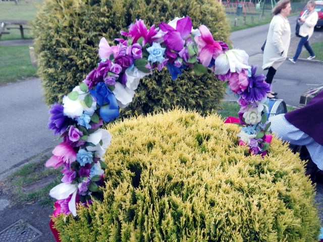 [Error! Image IMGP4425.JPG is not available.]