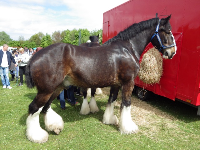 [Error! Image IMGP3179.JPG is not available.]